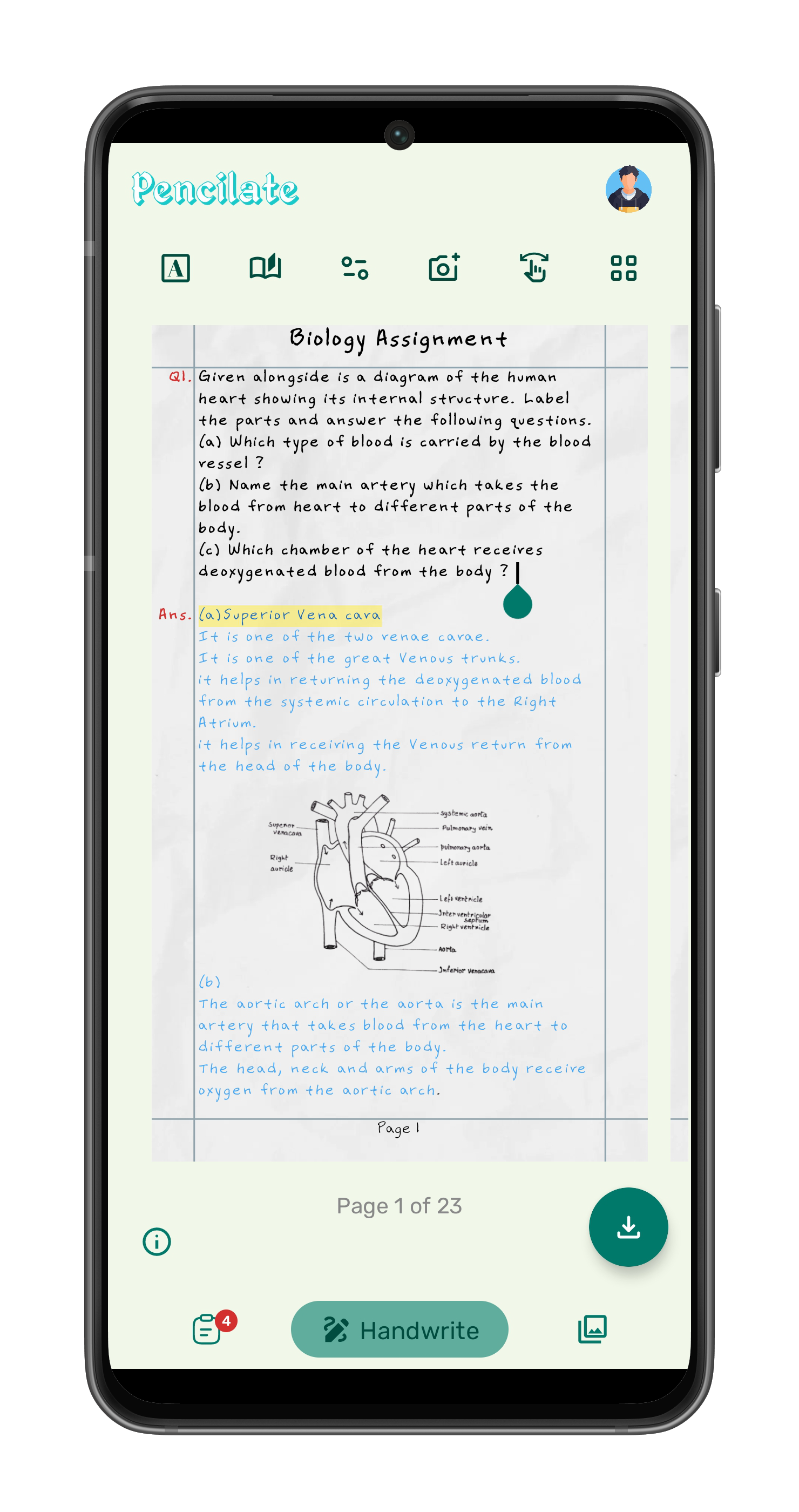 Mobile App View